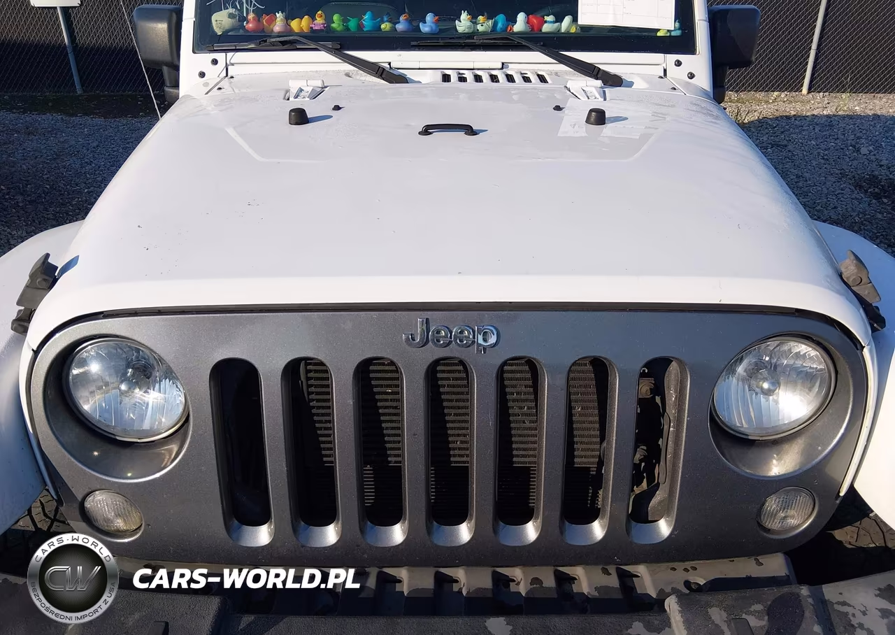 2015 Jeep Wrangler Unlimited Freedom Edition VIN:1C4HJWDG1FL560935 - 10