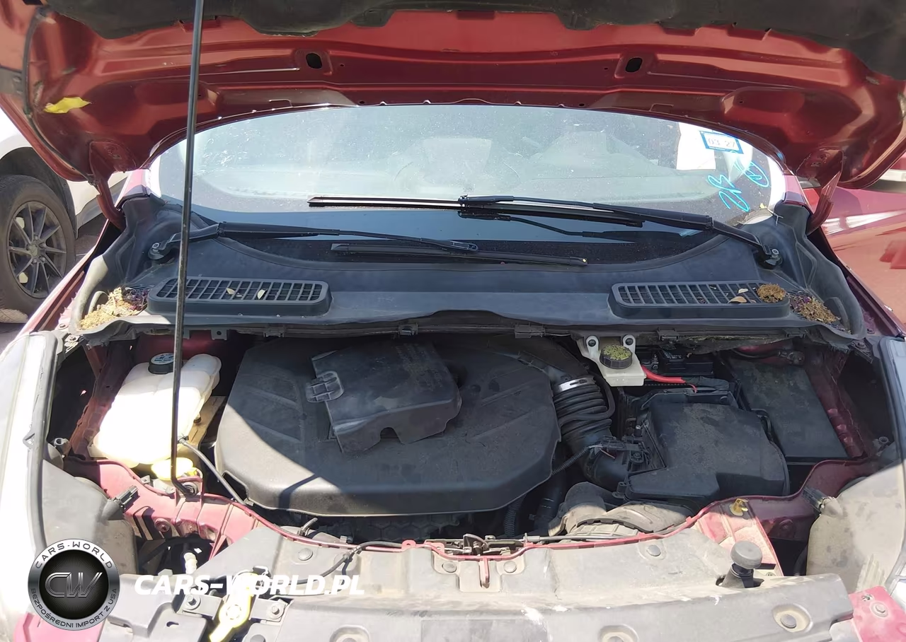 2013 Ford Escape Sel VIN:1FMCU0H95DUD46317 - 10