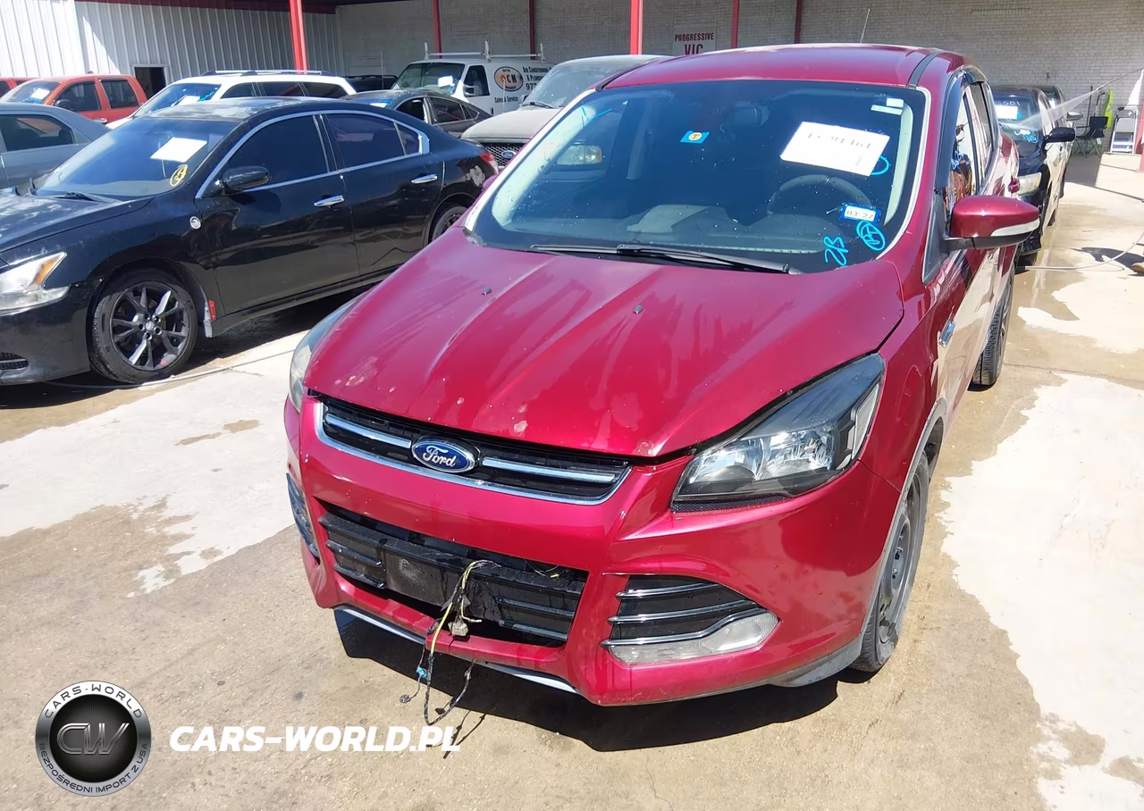 2013 Ford Escape Sel VIN:1FMCU0H95DUD46317 - 12