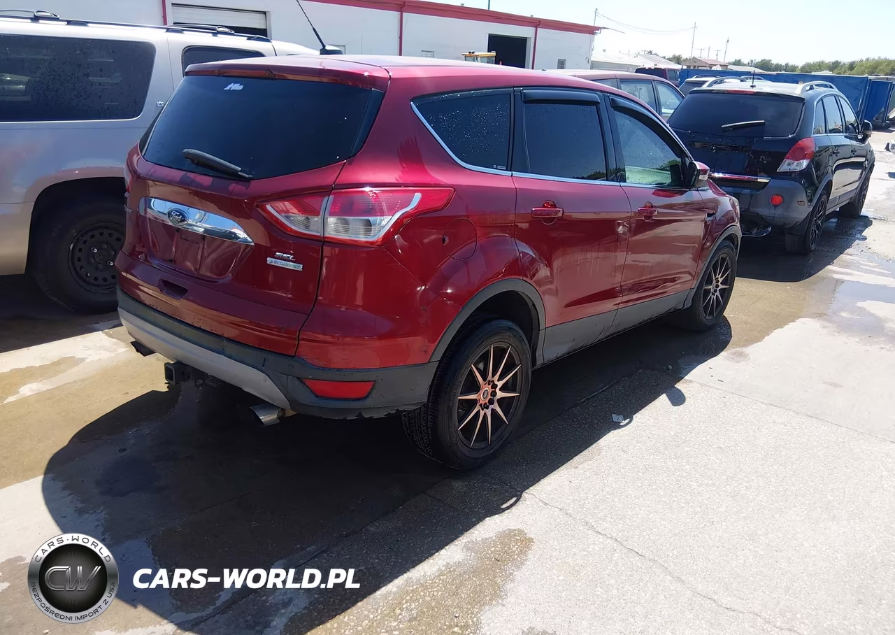 2013 Ford Escape Sel VIN:1FMCU0H95DUD46317 - 4