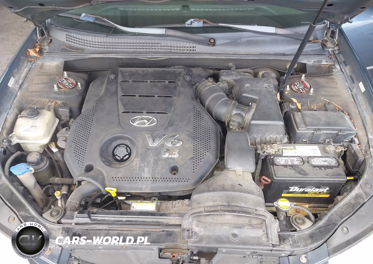 2009 Hyundai Sonata Limited V6 VIN:5NPEU46F19H428253 - 10