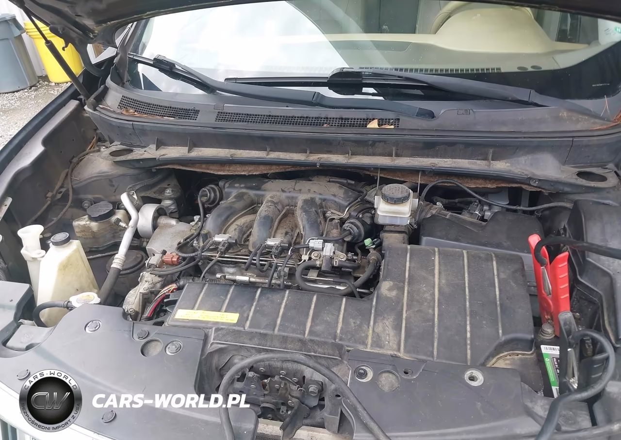 2010 Nissan Murano Le VIN:JN8AZ1MU0AW021253 - 10