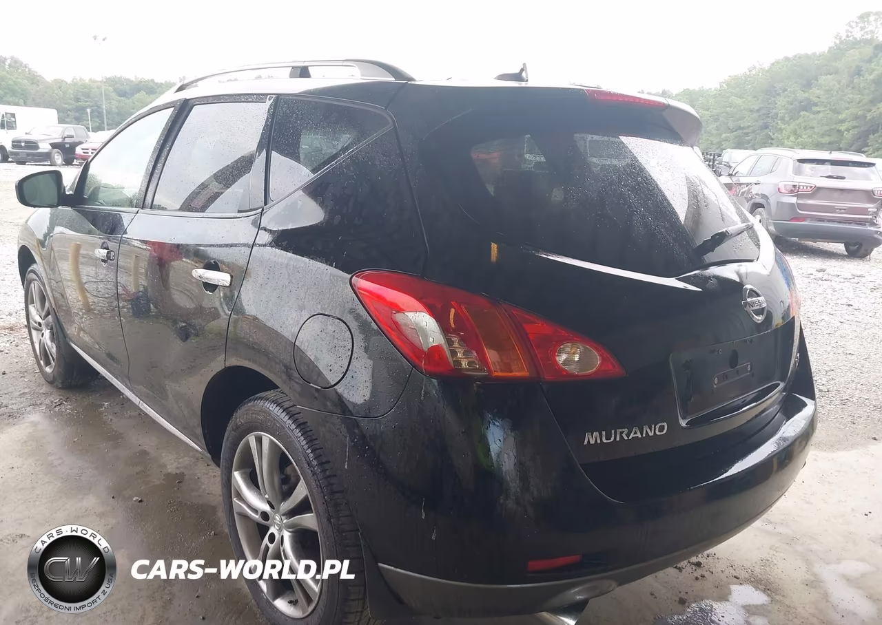 2010 Nissan Murano Le VIN:JN8AZ1MU0AW021253 - 3