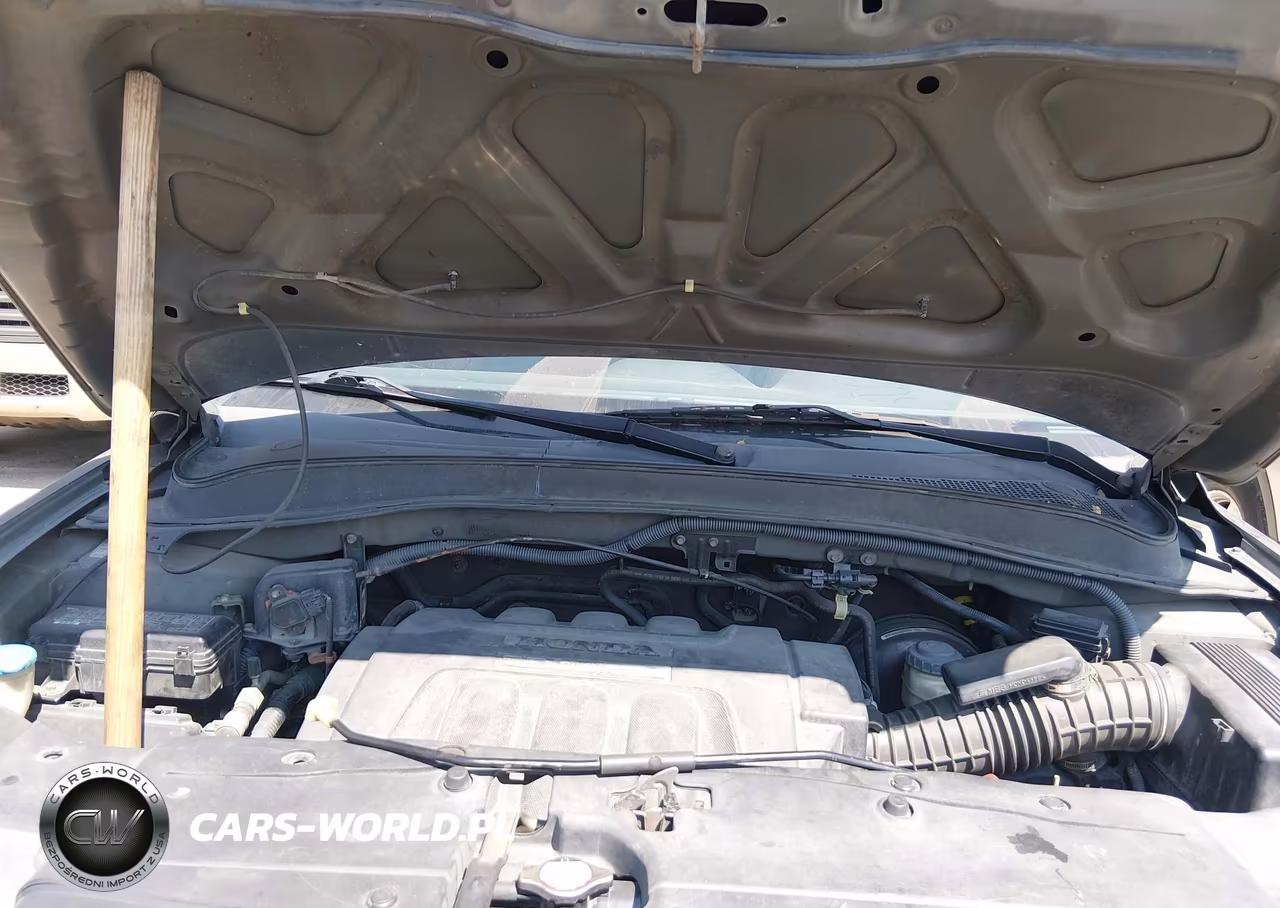 2007 Honda Pilot Ex-L VIN:5FNYF28607B025417 - 10