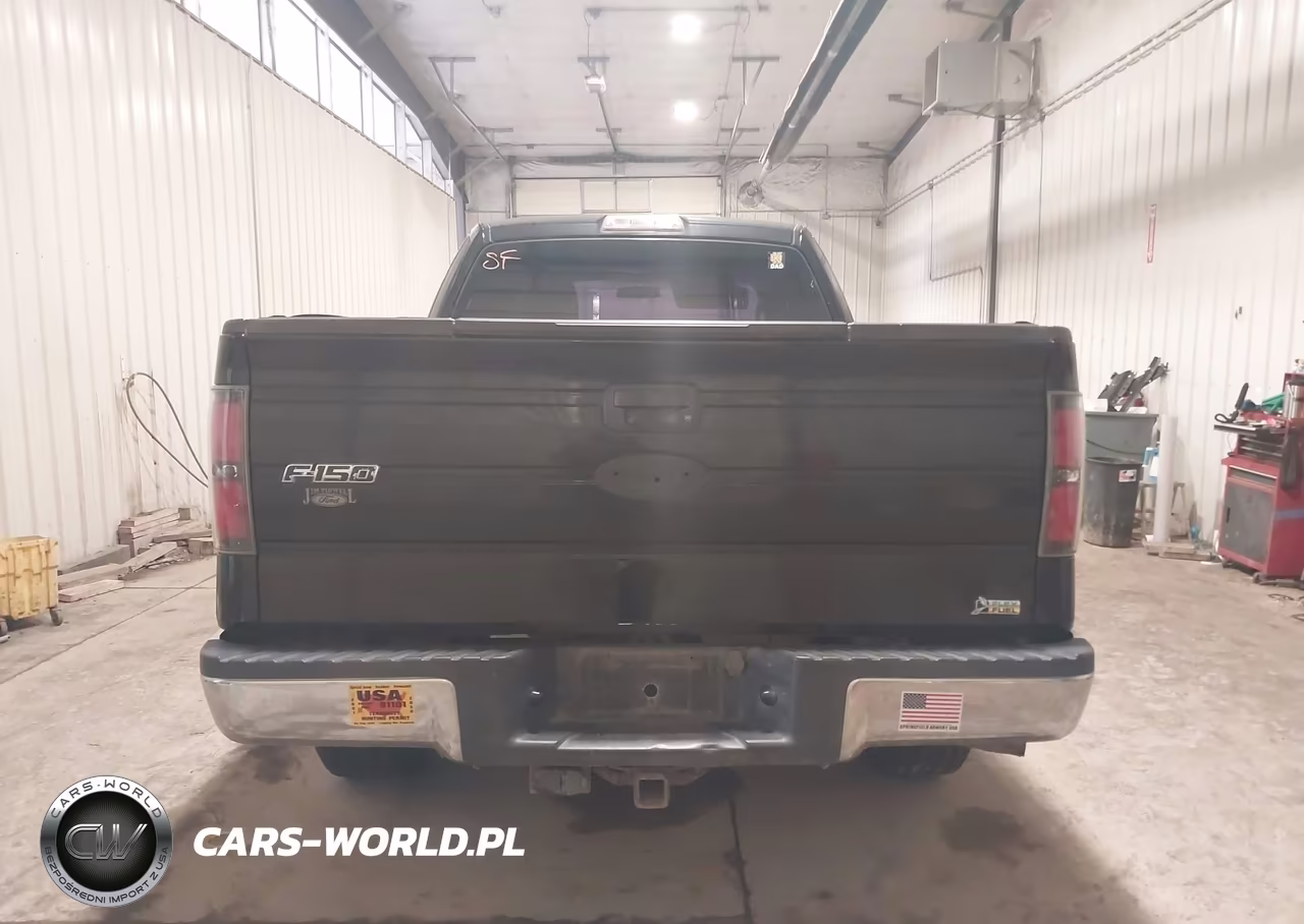 2010 Ford F-150 Stx-Xl VIN:1FTEX1CW0AFA27043 - 16