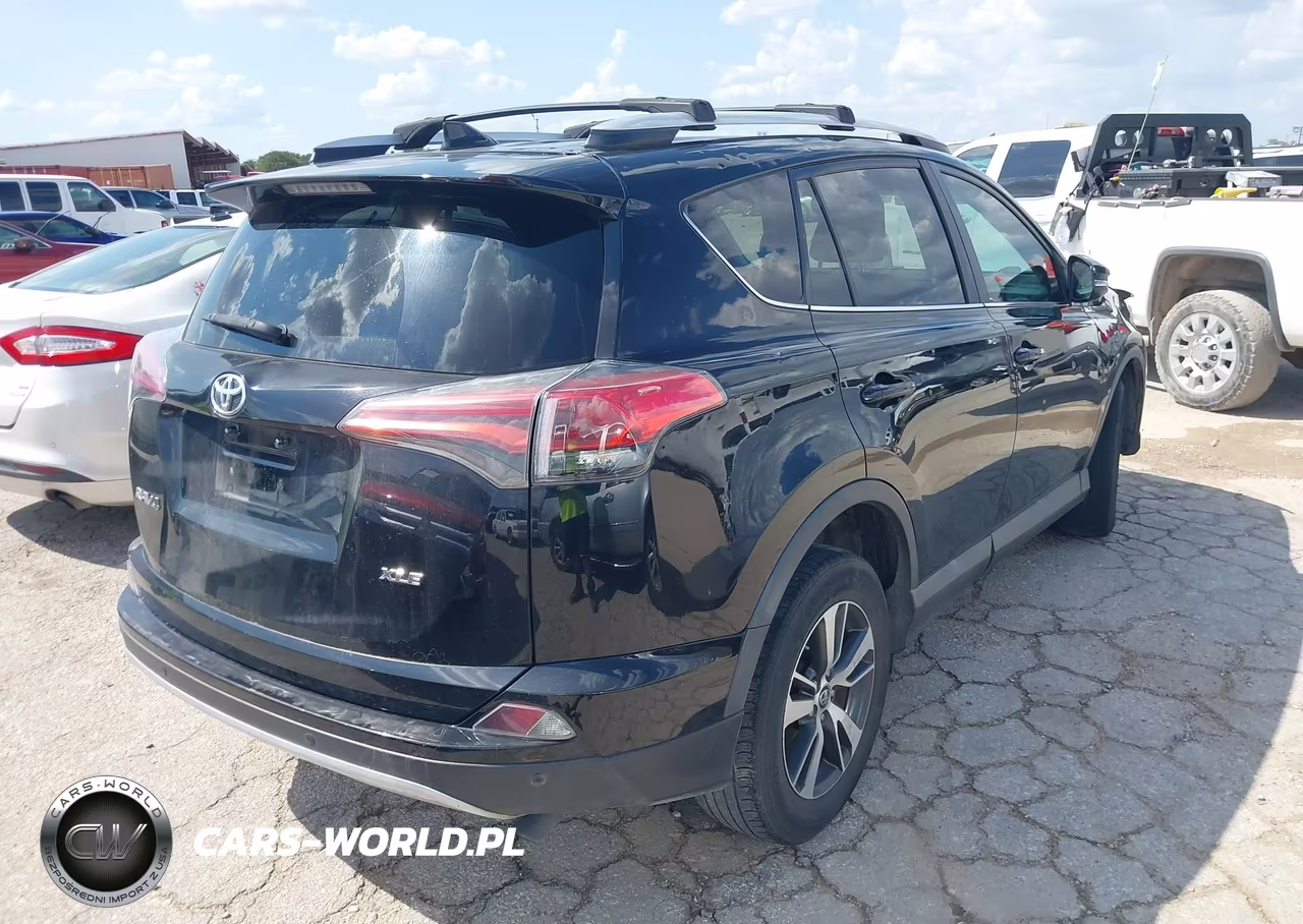 2016 Toyota Rav4 Xle VIN:2T3WFREV5GW295989 - 4