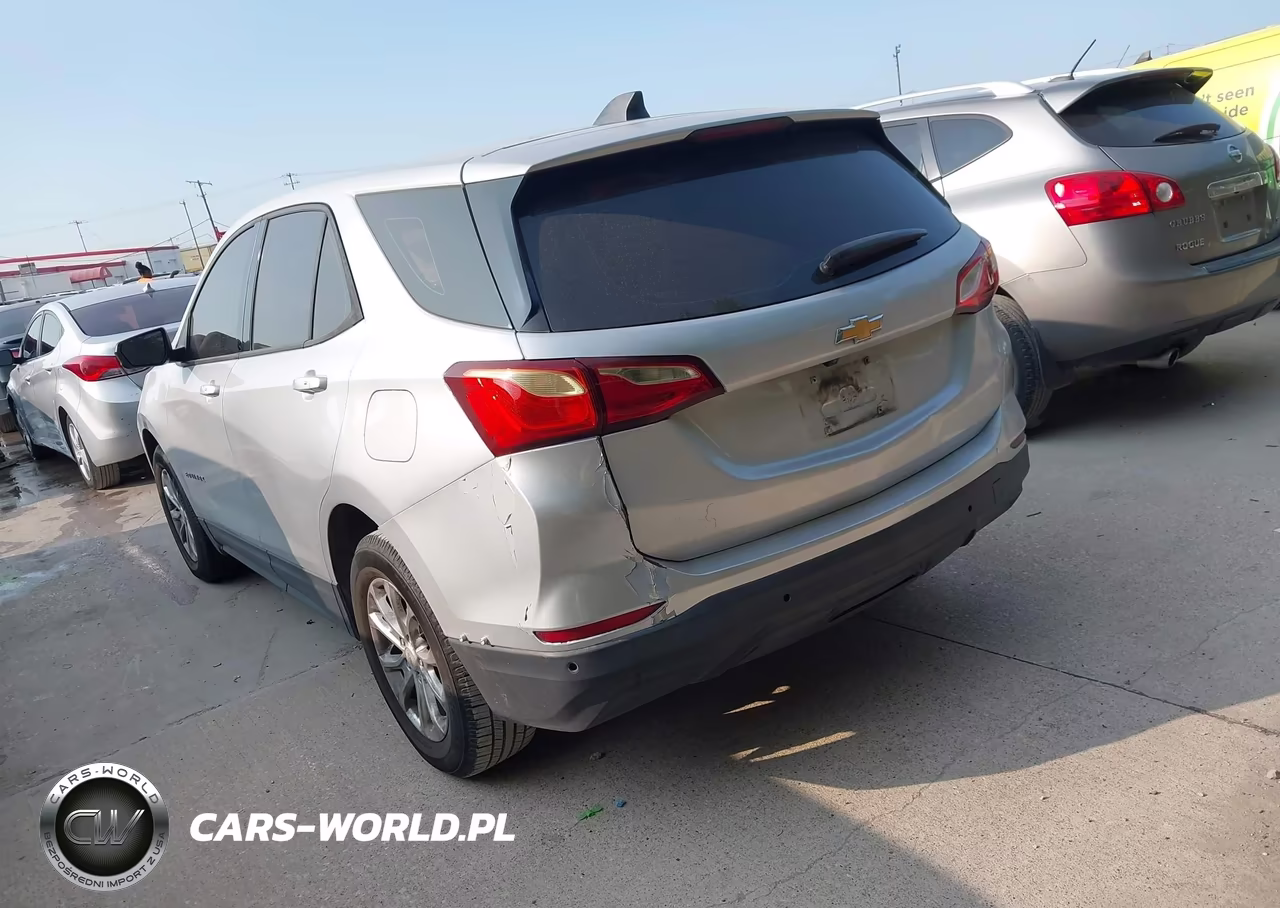 2019 Chevrolet Equinox Ls VIN:2GNAXHEV3K6203663 - 3