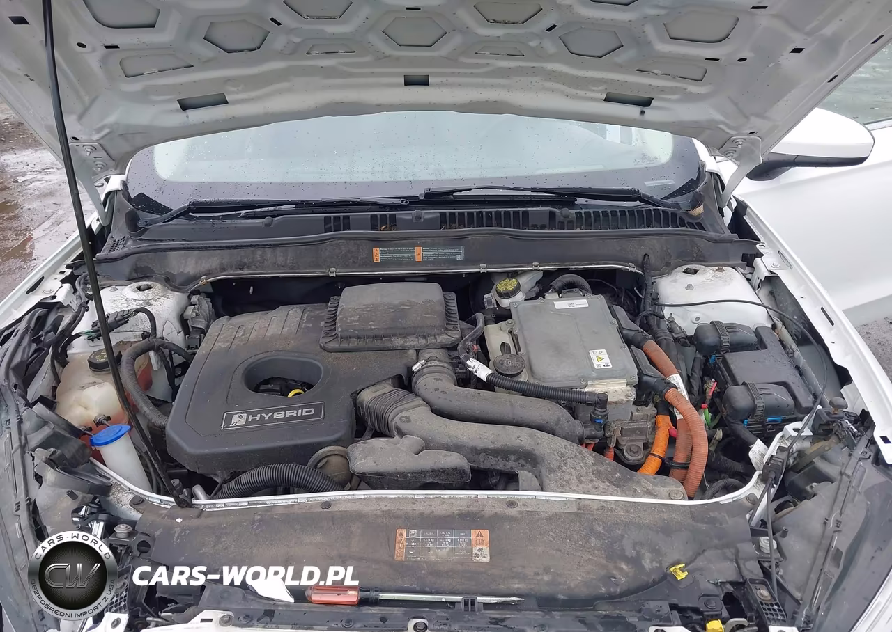2019 Ford Fusion Hybrid Se VIN:3FA6P0LU2KR102686 - 10