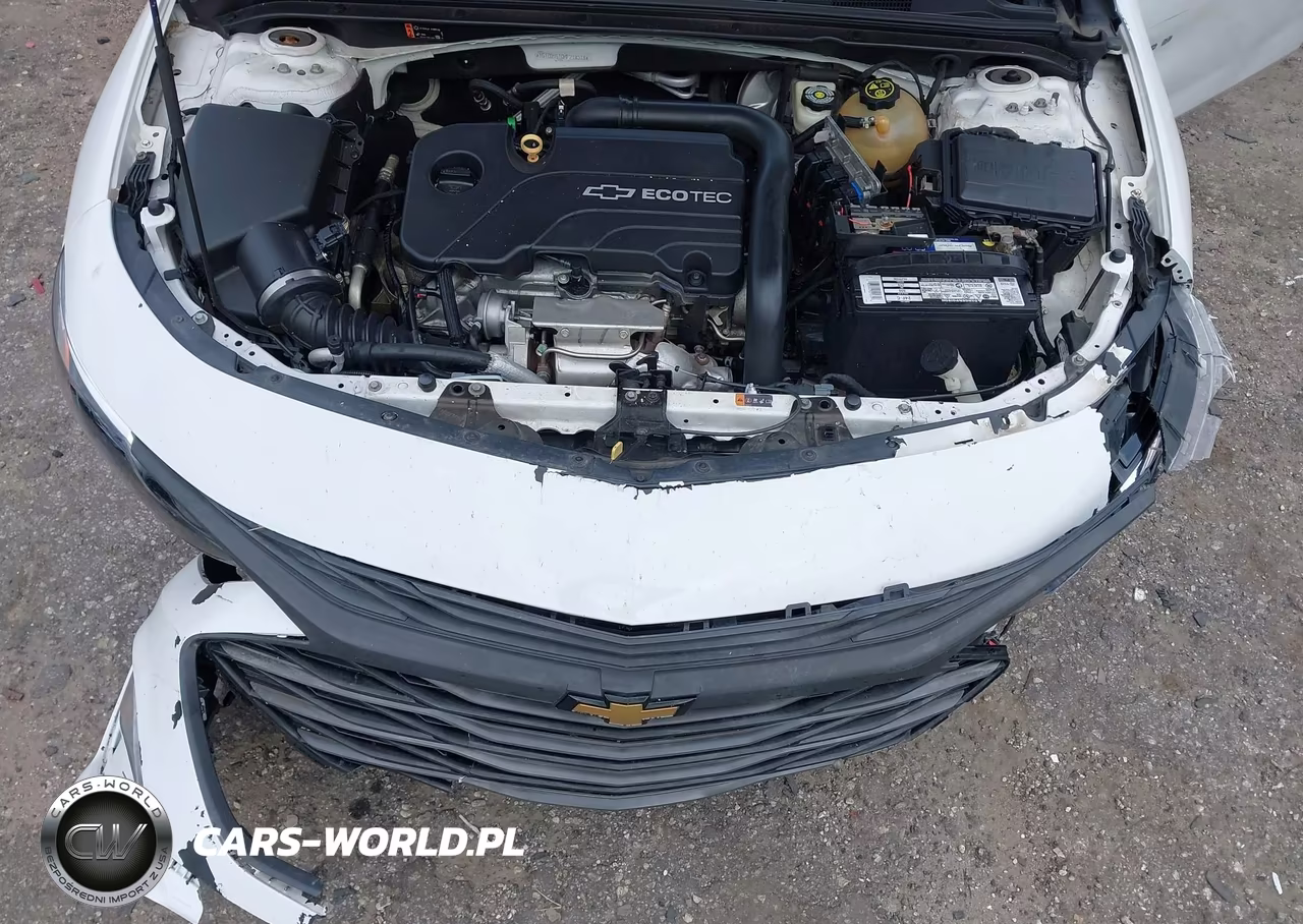 2019 Chevrolet Malibu Lt VIN:1G1ZD5ST0KF218318 - 10