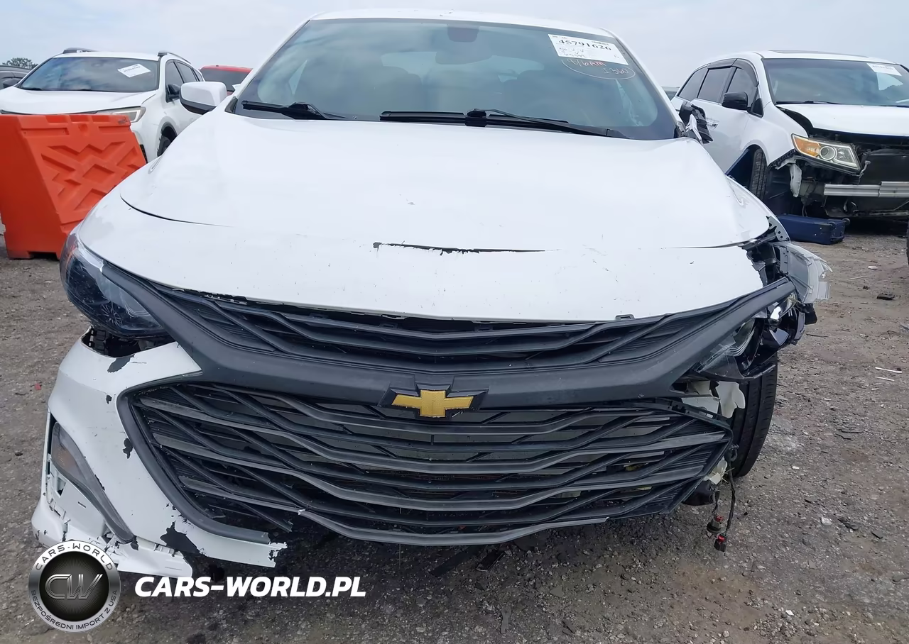 2019 Chevrolet Malibu Lt VIN:1G1ZD5ST0KF218318 - 12