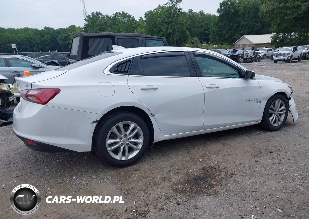 2019 Chevrolet Malibu Lt VIN:1G1ZD5ST0KF218318 - 13
