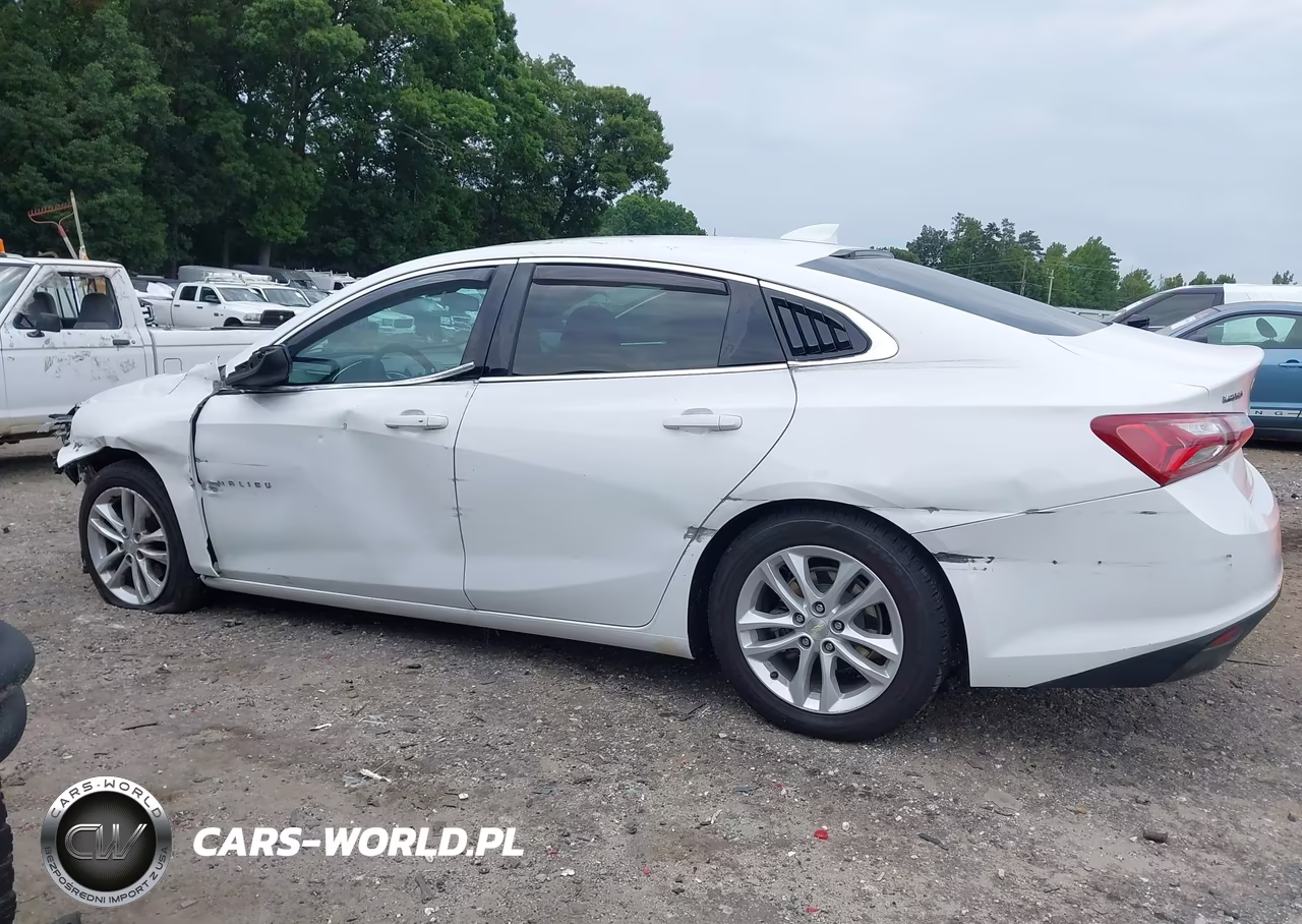 2019 Chevrolet Malibu Lt VIN:1G1ZD5ST0KF218318 - 14
