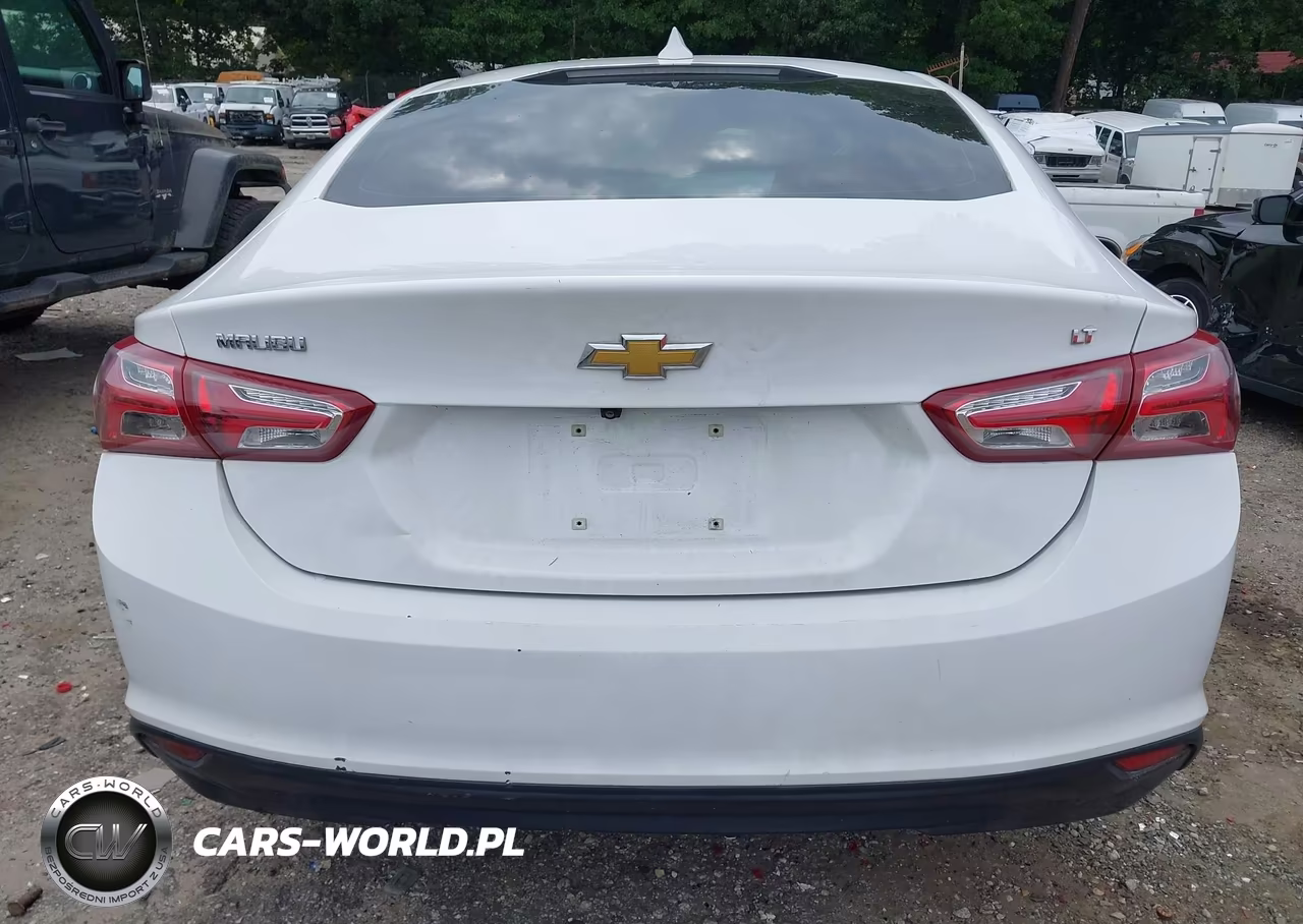 2019 Chevrolet Malibu Lt VIN:1G1ZD5ST0KF218318 - 16