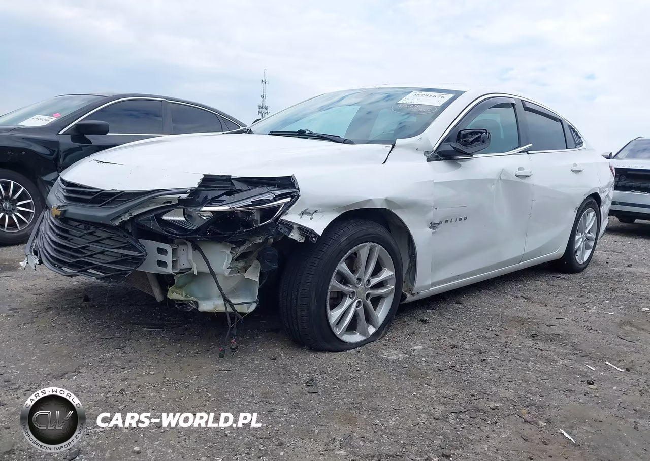 2019 Chevrolet Malibu Lt VIN:1G1ZD5ST0KF218318 - 2