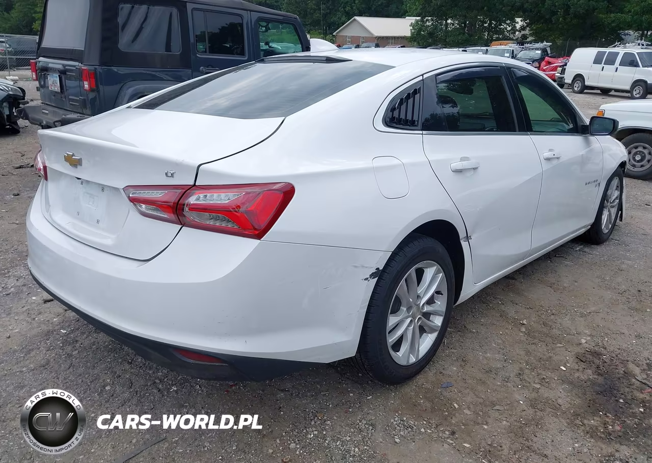 2019 Chevrolet Malibu Lt VIN:1G1ZD5ST0KF218318 - 4