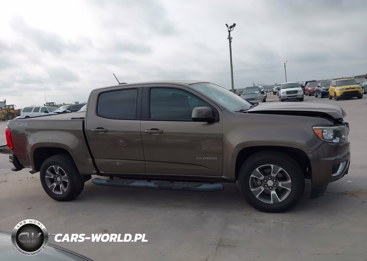 2017 Chevrolet Colorado 2Wd Z71 VIN:1GCGSDEA1H1194691 - 13