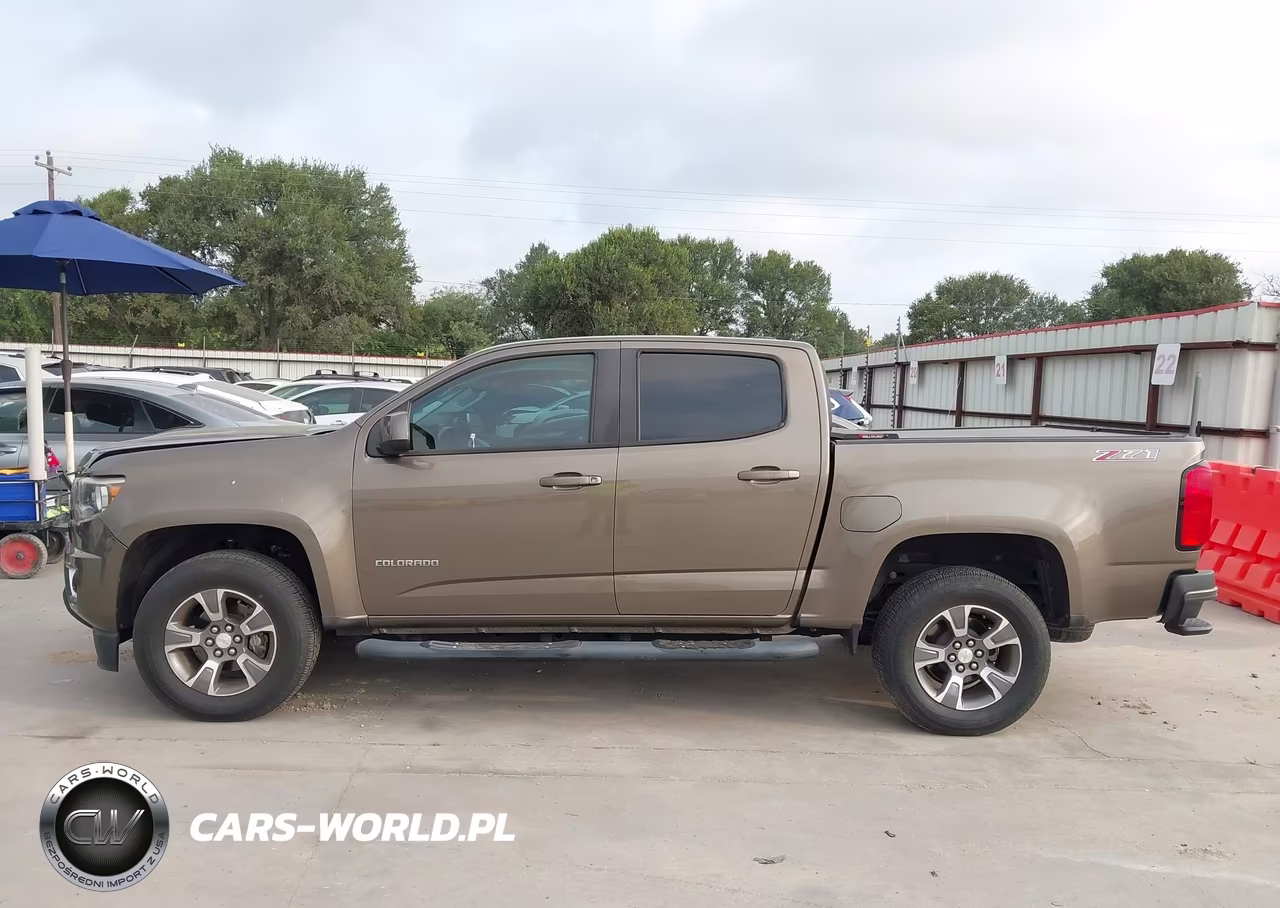 2017 Chevrolet Colorado 2Wd Z71 VIN:1GCGSDEA1H1194691 - 14