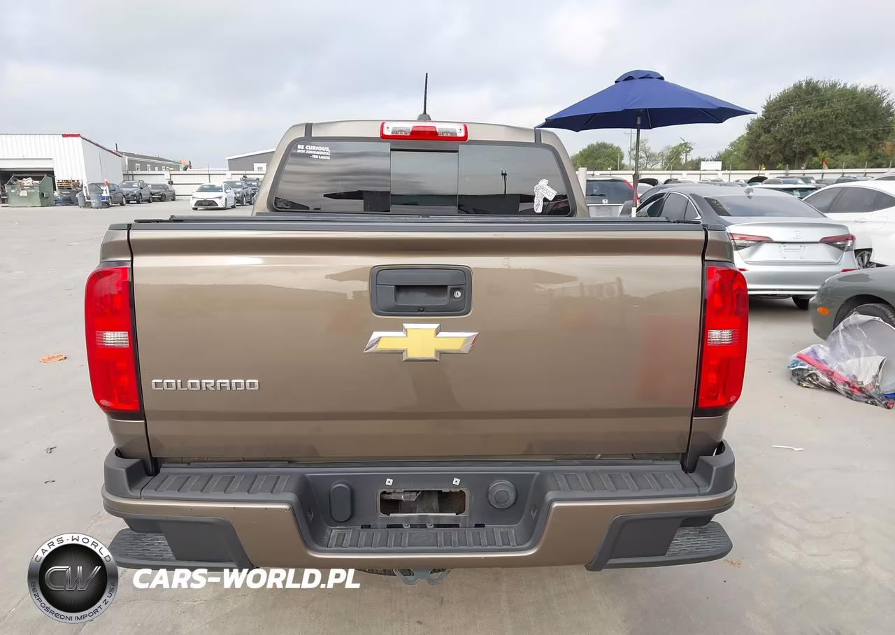 2017 Chevrolet Colorado 2Wd Z71 VIN:1GCGSDEA1H1194691 - 16