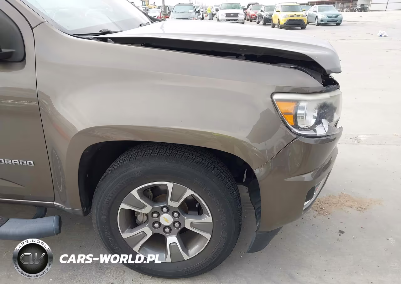 2017 Chevrolet Colorado 2Wd Z71 VIN:1GCGSDEA1H1194691 - 17