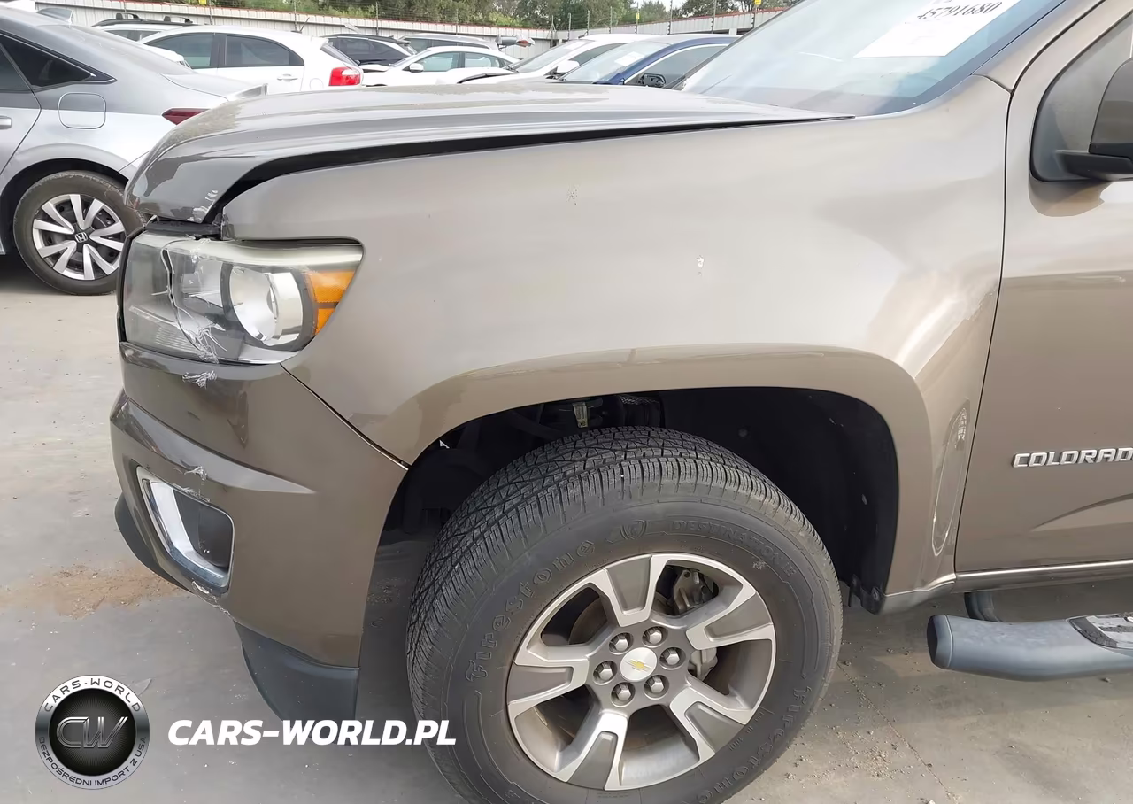 2017 Chevrolet Colorado 2Wd Z71 VIN:1GCGSDEA1H1194691 - 18