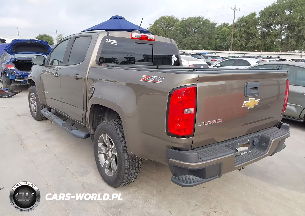 2017 Chevrolet Colorado 2Wd Z71 VIN:1GCGSDEA1H1194691 - 3