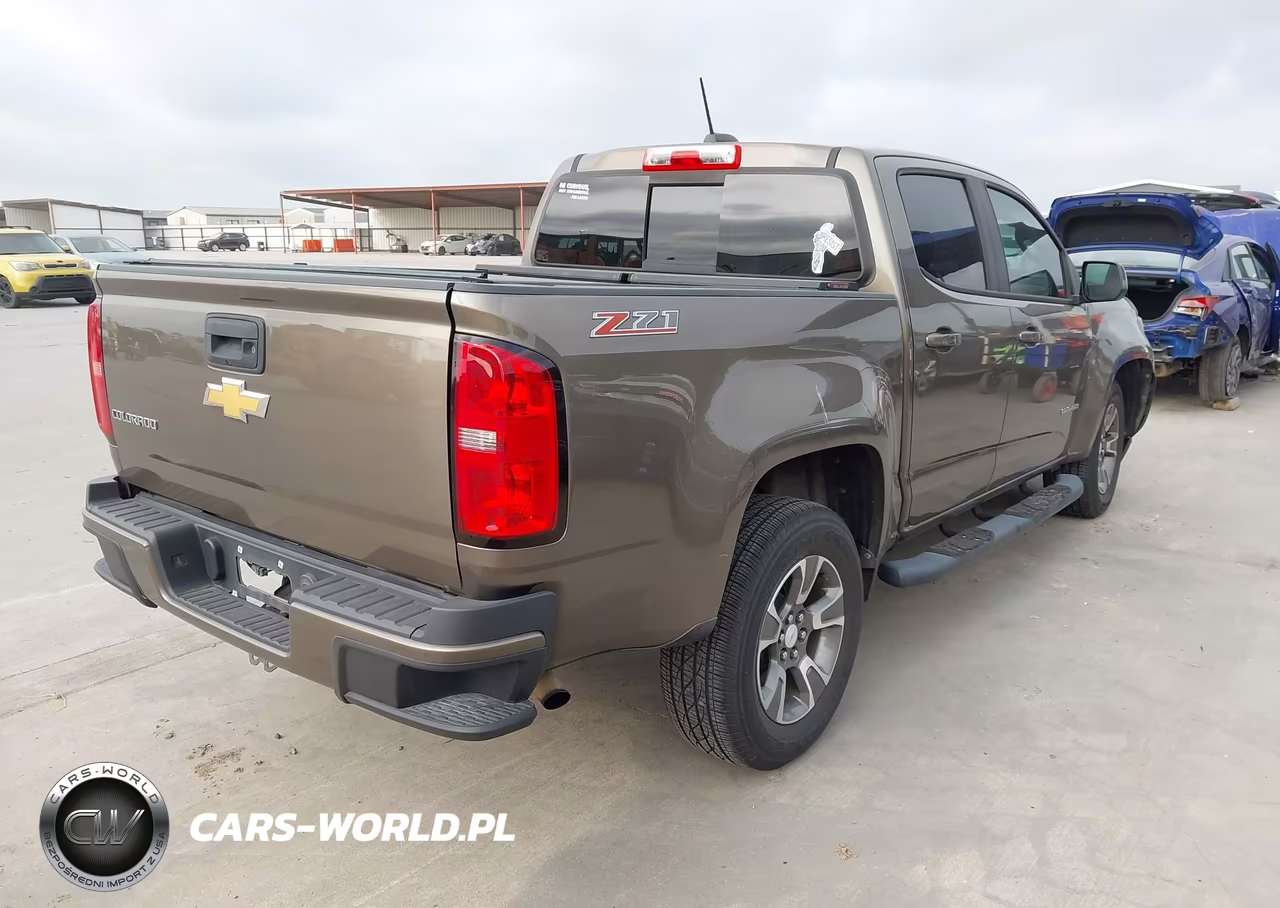 2017 Chevrolet Colorado 2Wd Z71 VIN:1GCGSDEA1H1194691 - 4
