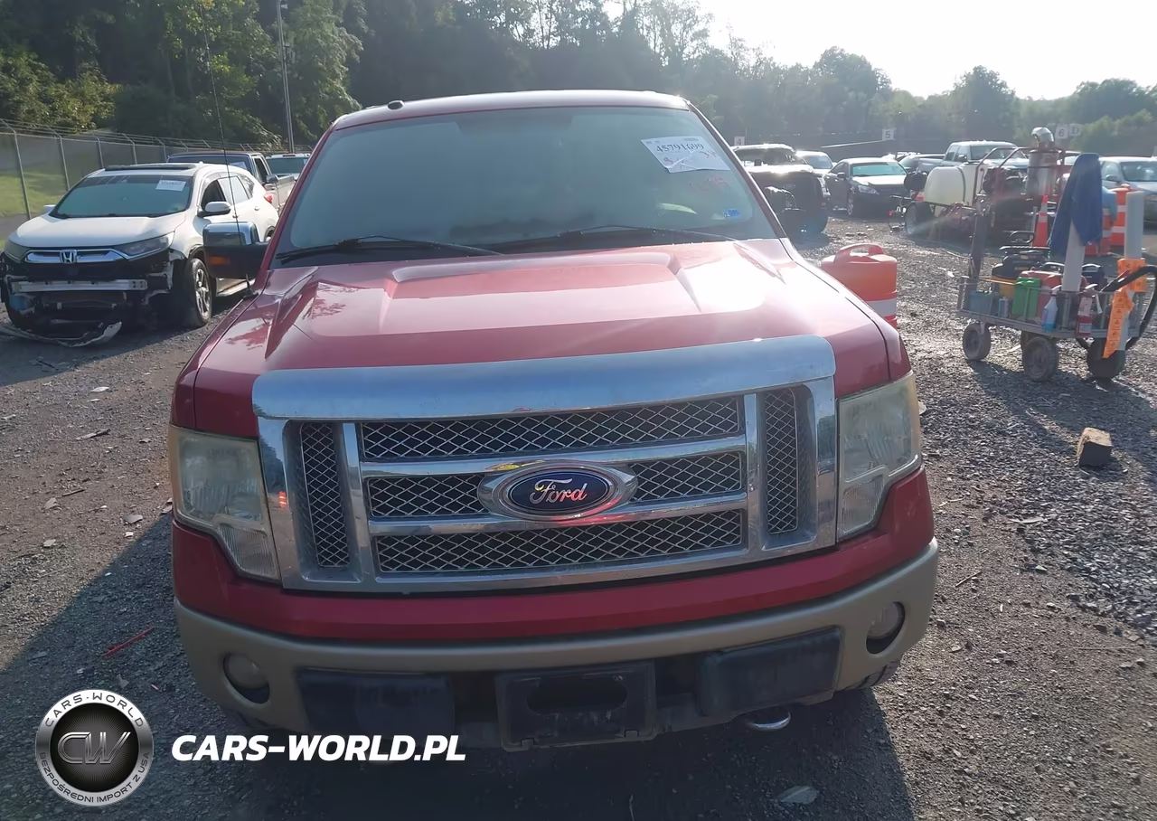 2010 Ford F-150 Fx4-Harley-Davidson-King Ranch-Lariat-Platinum-Xl-Xlt VIN:1FTFW1EV1AFB91719 - 12