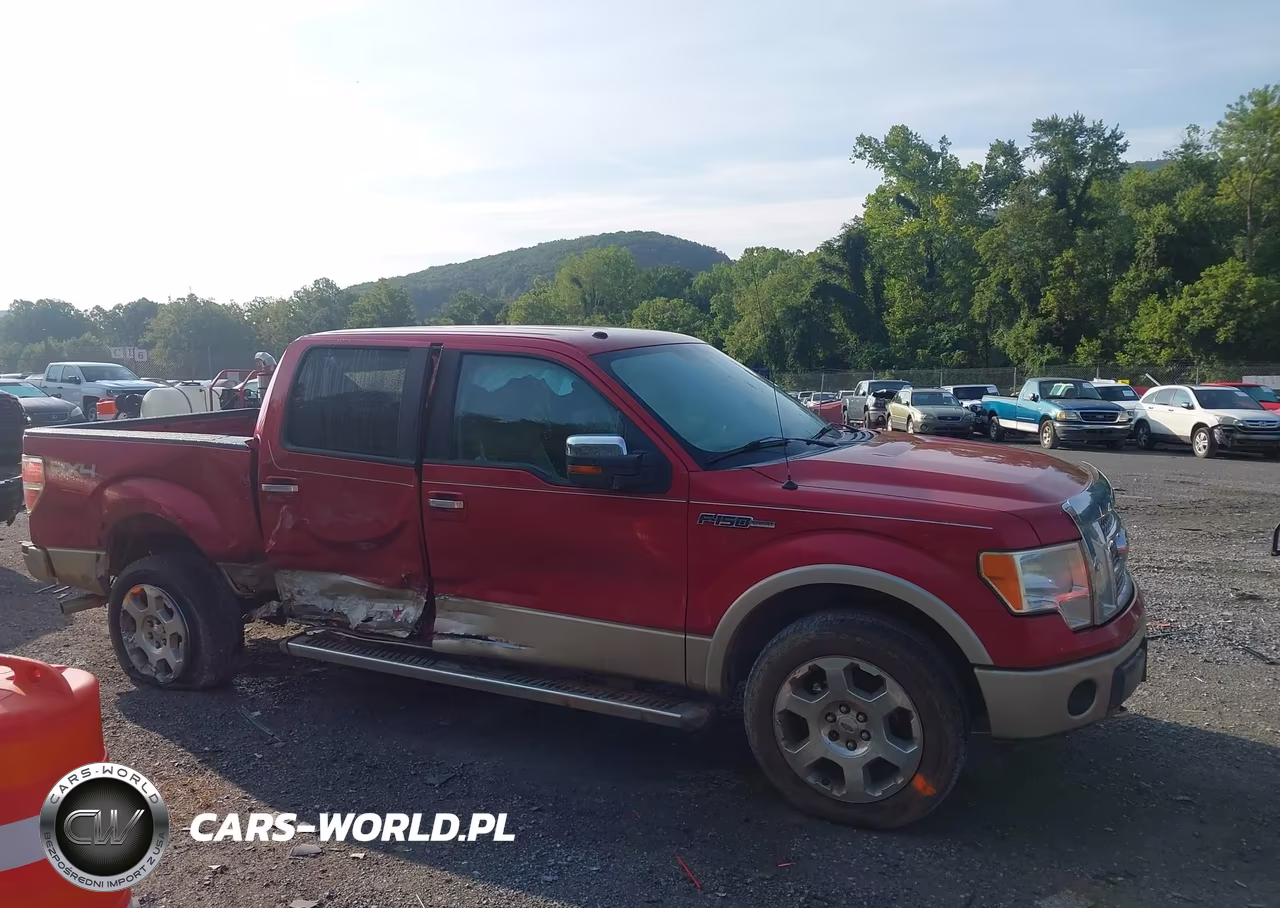 2010 Ford F-150 Fx4-Harley-Davidson-King Ranch-Lariat-Platinum-Xl-Xlt VIN:1FTFW1EV1AFB91719 - 13