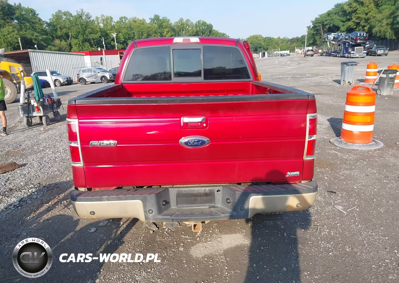 2010 Ford F-150 Fx4-Harley-Davidson-King Ranch-Lariat-Platinum-Xl-Xlt VIN:1FTFW1EV1AFB91719 - 16