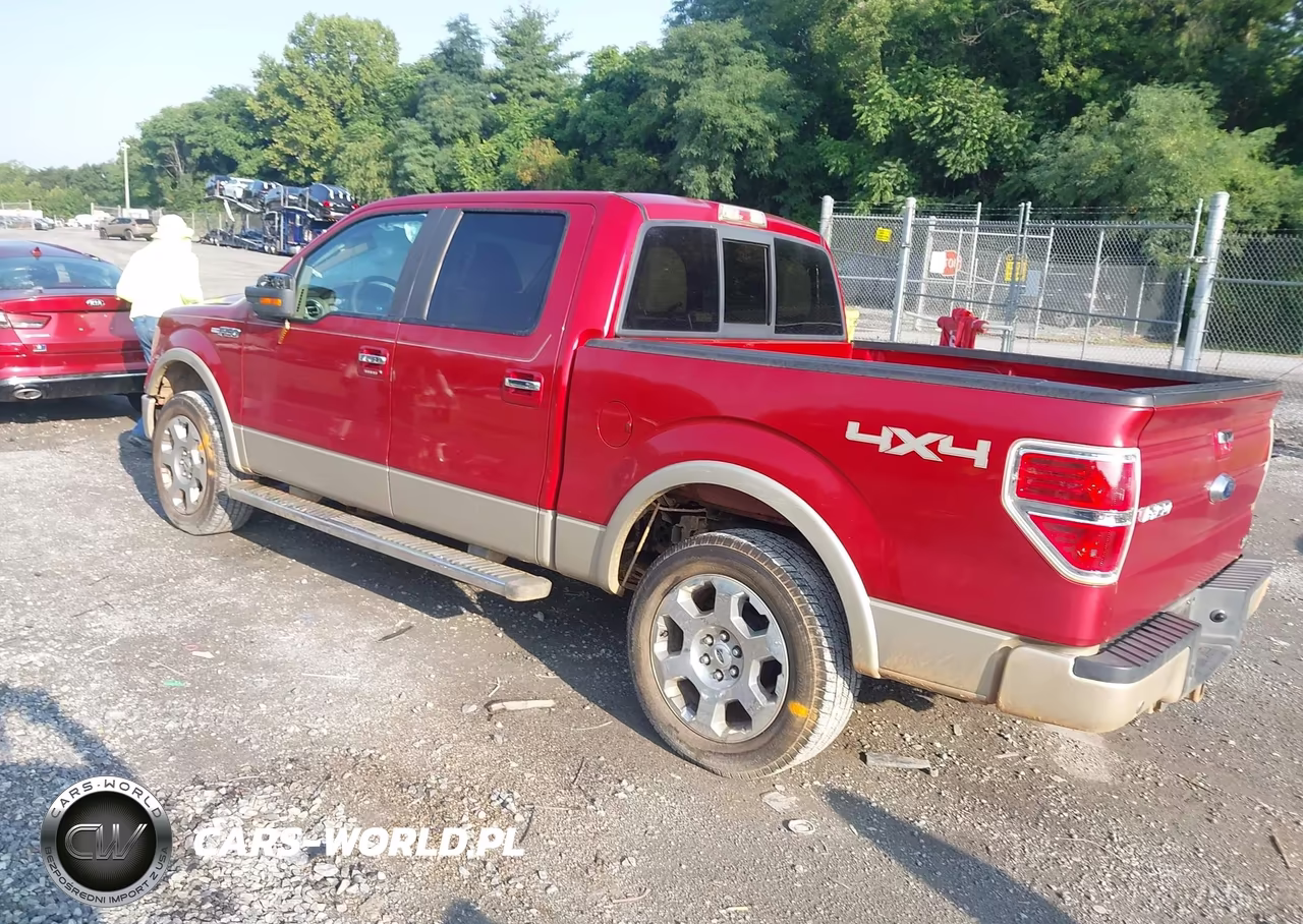 2010 Ford F-150 Fx4-Harley-Davidson-King Ranch-Lariat-Platinum-Xl-Xlt VIN:1FTFW1EV1AFB91719 - 3