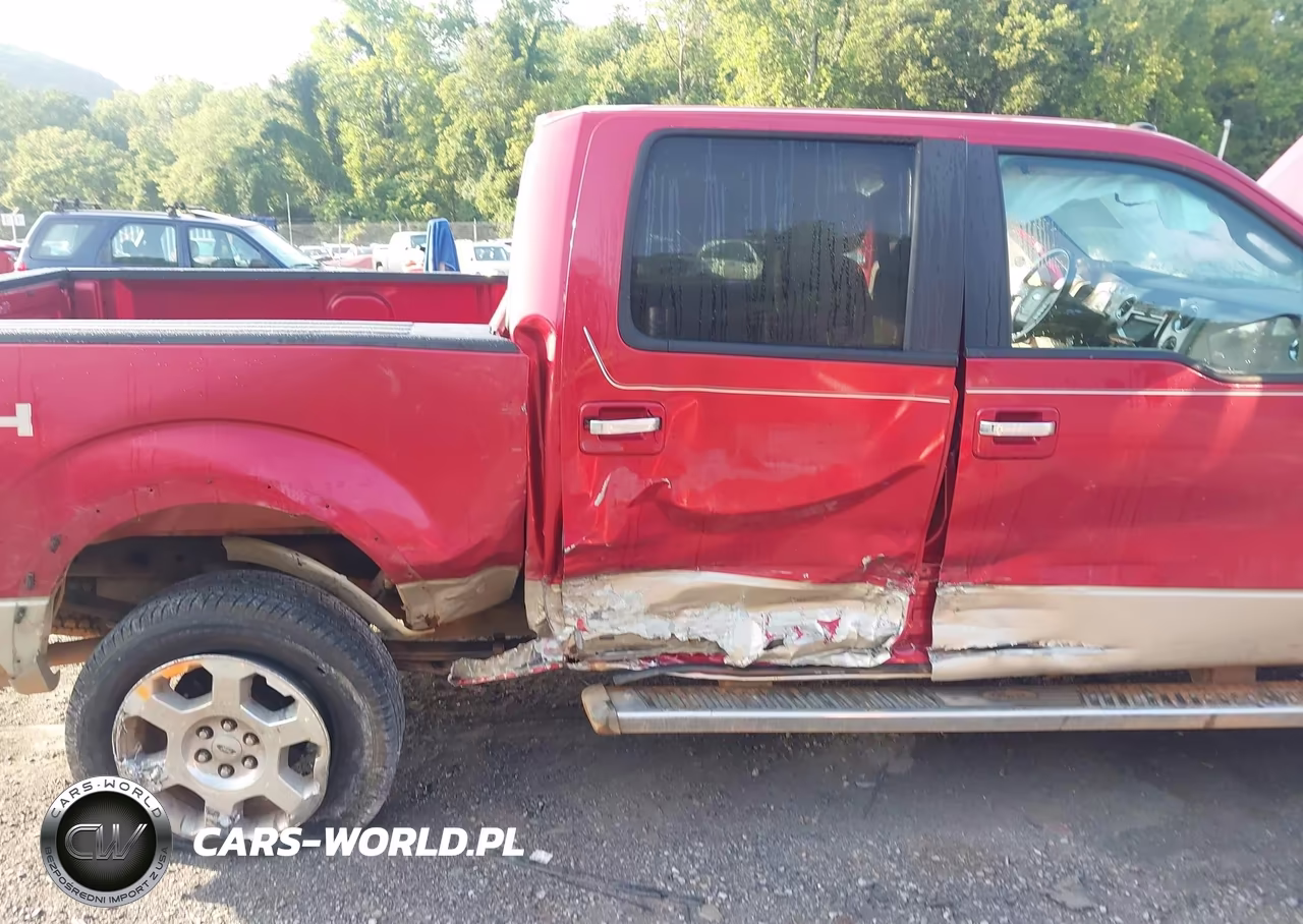 2010 Ford F-150 Fx4-Harley-Davidson-King Ranch-Lariat-Platinum-Xl-Xlt VIN:1FTFW1EV1AFB91719 - 6