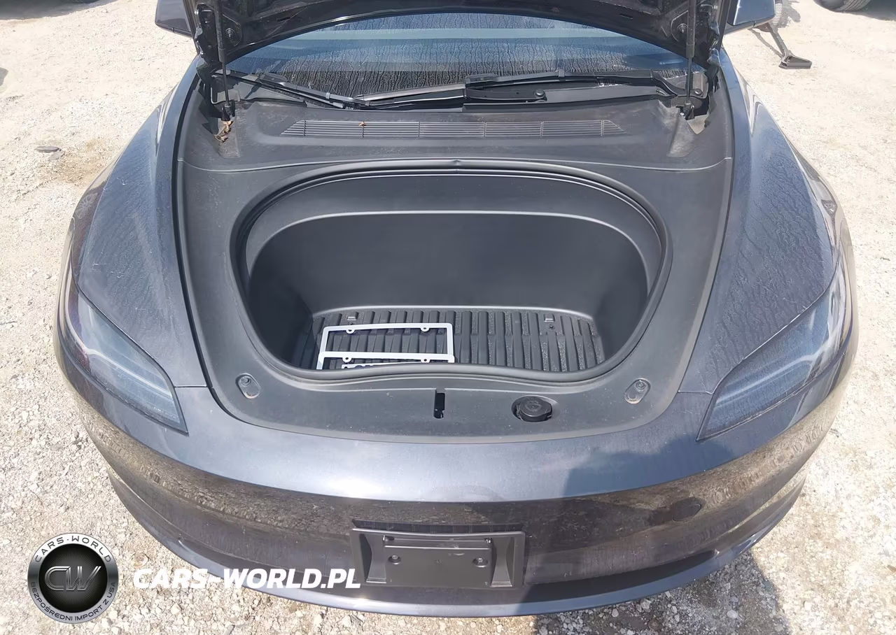 2025 Tesla Model 3 Long Range Rear-Wheel Drive-Standard Rear-Wheel Drive VIN:5YJ3E1EA5SF904825 - 10