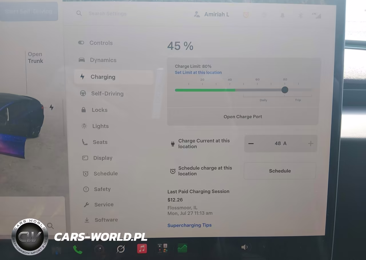 2025 Tesla Model 3 Long Range Rear-Wheel Drive-Standard Rear-Wheel Drive VIN:5YJ3E1EA5SF904825 - 17