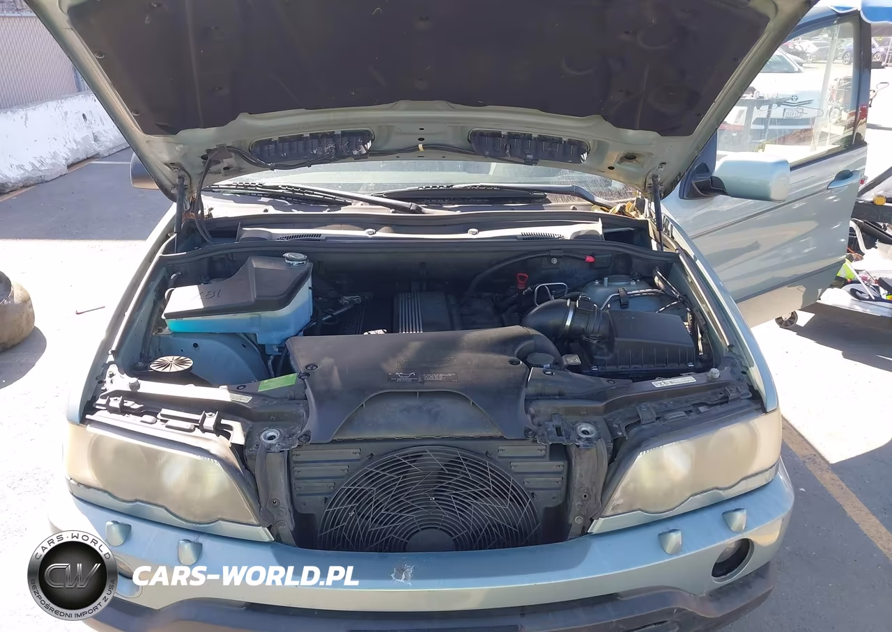 2003 BMW X5 3.0I VIN:5UXFA53553LW23207 - 10