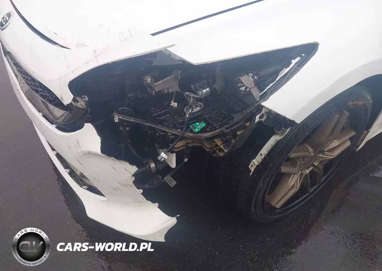 2018 Kia Stinger Gt2 VIN:KNAE55LC8J6018008 - 6