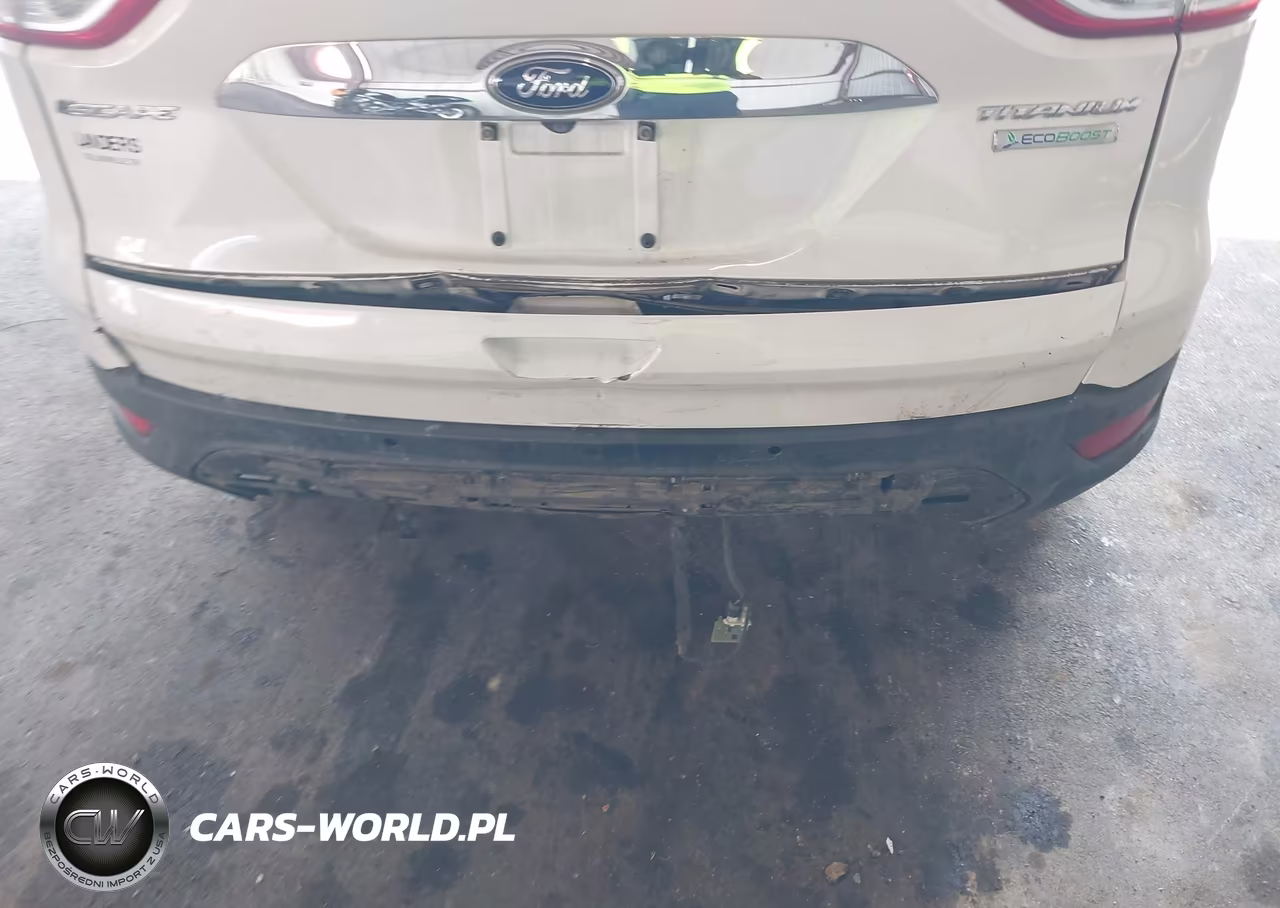 2014 Ford Escape Titanium VIN:1FMCU0J96EUD35757 - 12