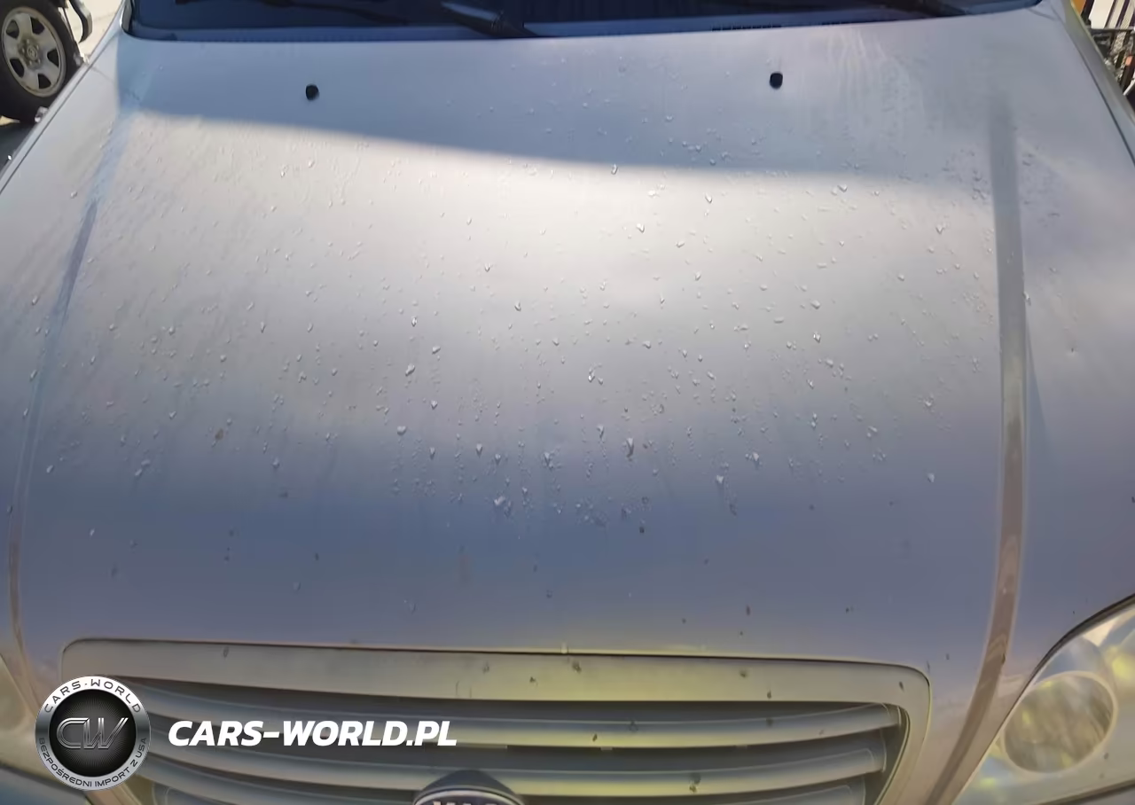 2002 Kia Sedona VIN:KNDUP131826266518 - 6