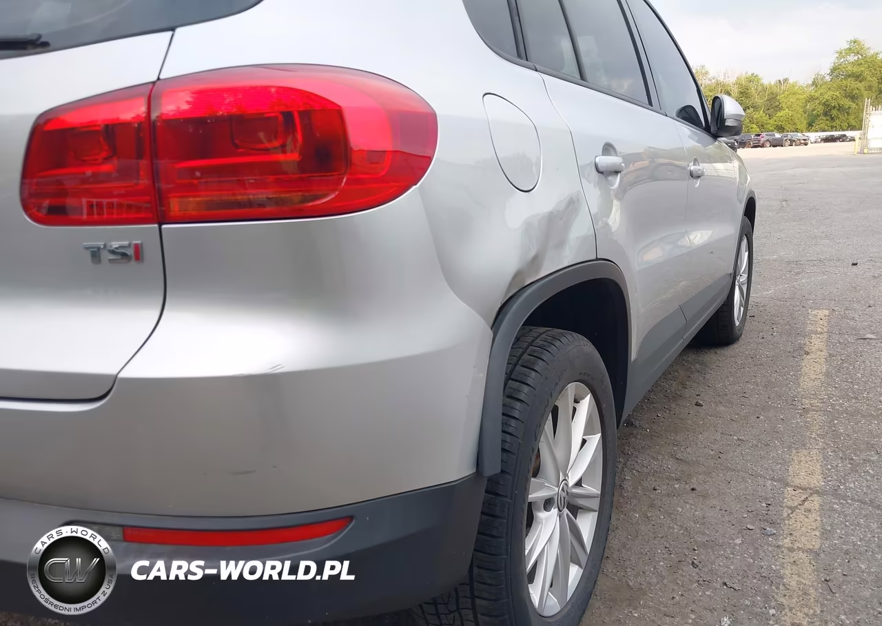 2017 Volkswagen Tiguan 2.0T-2.0T S VIN:WVGAV7AX9HK042768 - 13