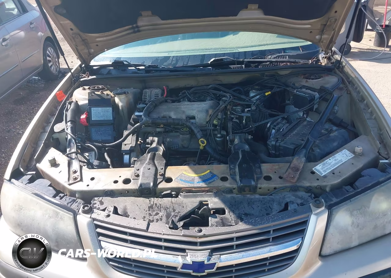 2004 Chevrolet Impala VIN:2G1WF52E349286154 - 10
