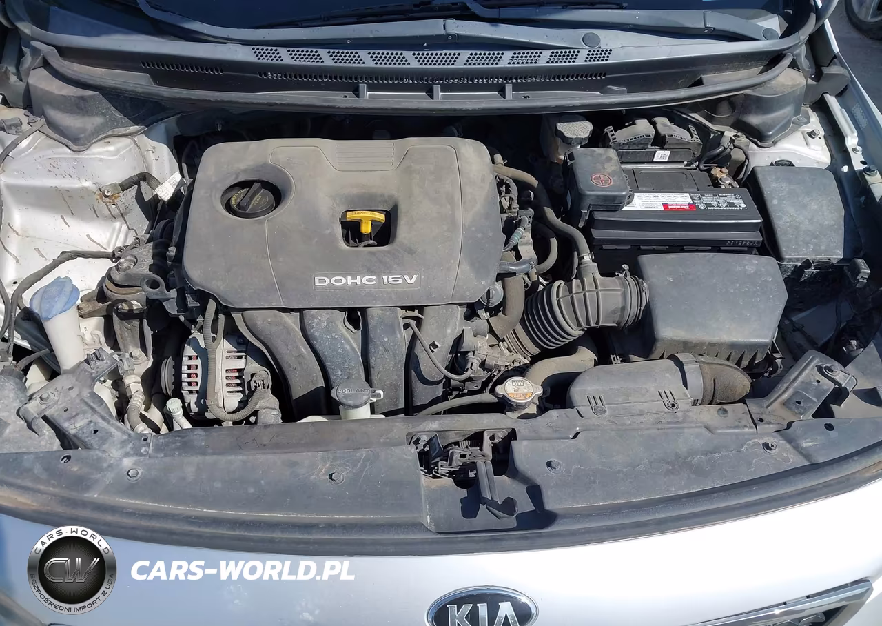 2017 Kia Forte Lx VIN:3KPFK4A73HE061286 - 10