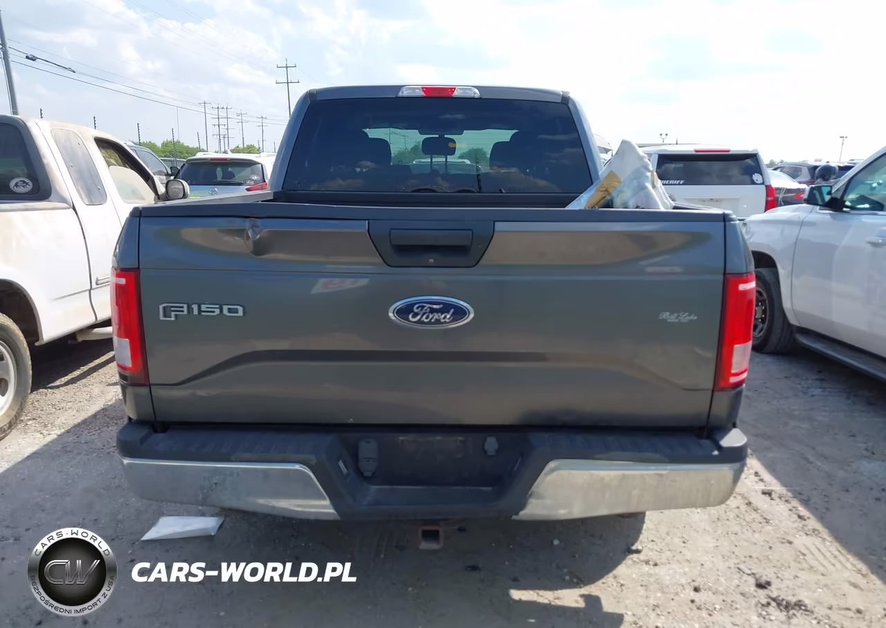 2016 Ford F-150 Xlt VIN:1FTEW1CP2GKE46264 - 17