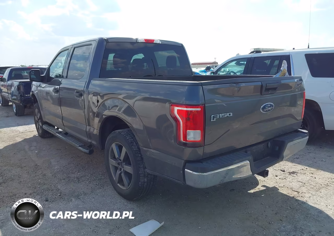 2016 Ford F-150 Xlt VIN:1FTEW1CP2GKE46264 - 3