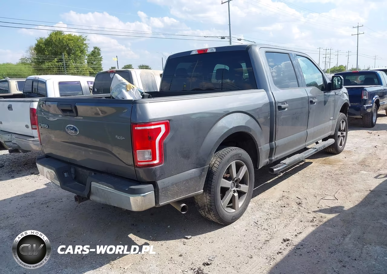 2016 Ford F-150 Xlt VIN:1FTEW1CP2GKE46264 - 4