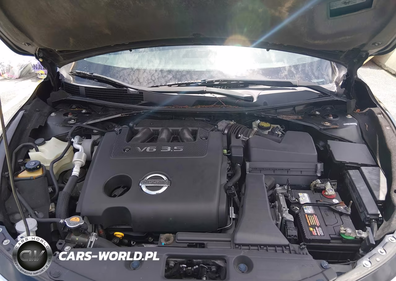 2013 Nissan Altima 3.5 Sl VIN:1N4BL3AP3DN469448 - 10