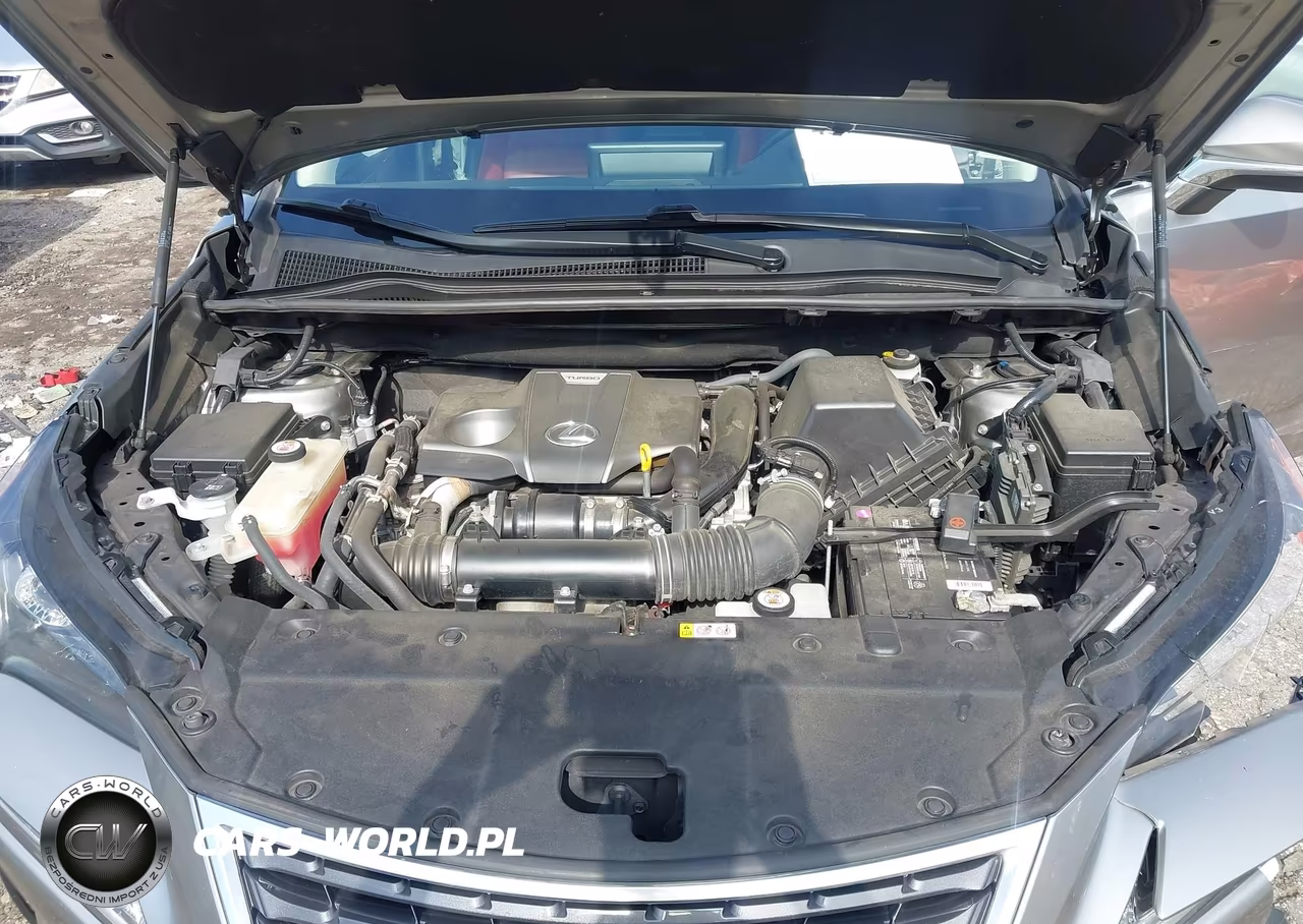 2021 Lexus Nx 300 VIN:JTJGARBZ7M2189488 - 10