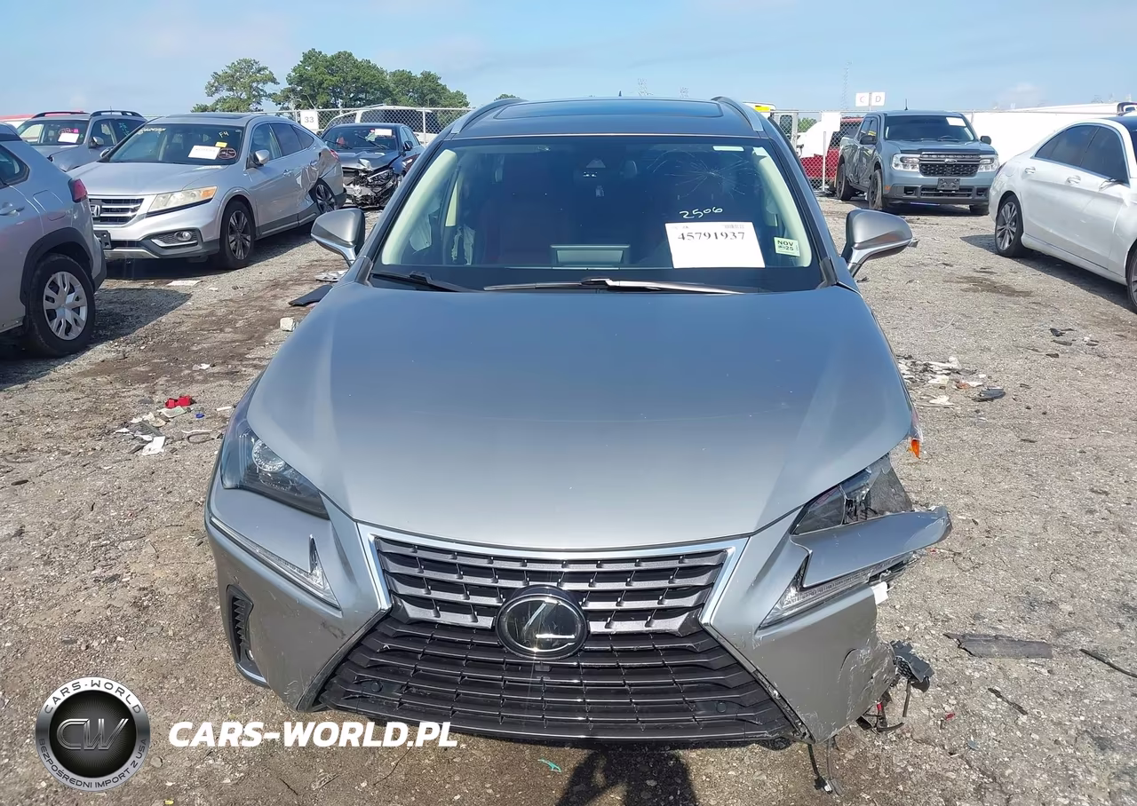 2021 Lexus Nx 300 VIN:JTJGARBZ7M2189488 - 12