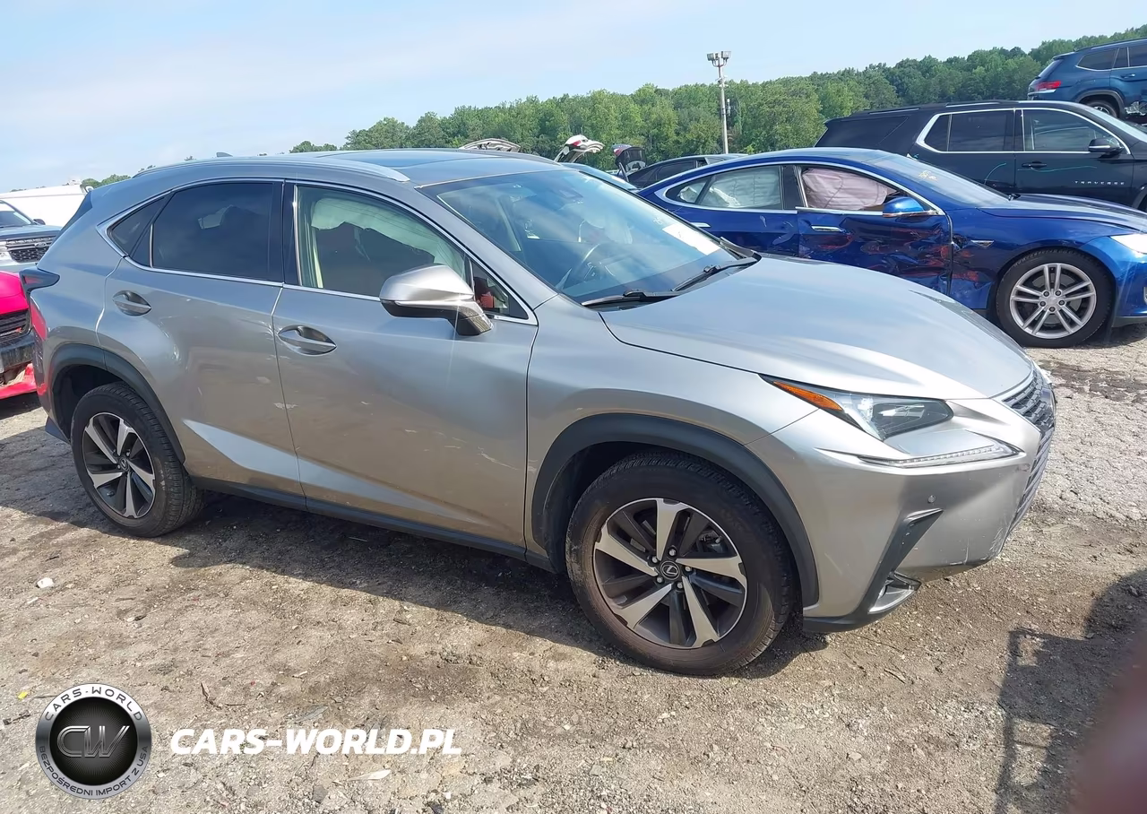 2021 Lexus Nx 300 VIN:JTJGARBZ7M2189488 - 13