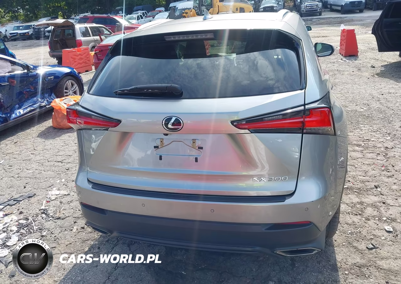 2021 Lexus Nx 300 VIN:JTJGARBZ7M2189488 - 16