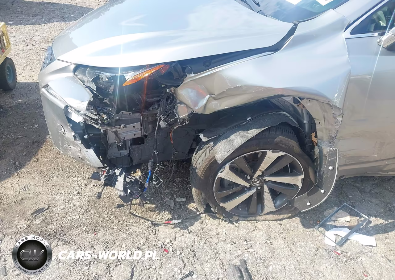2021 Lexus Nx 300 VIN:JTJGARBZ7M2189488 - 17
