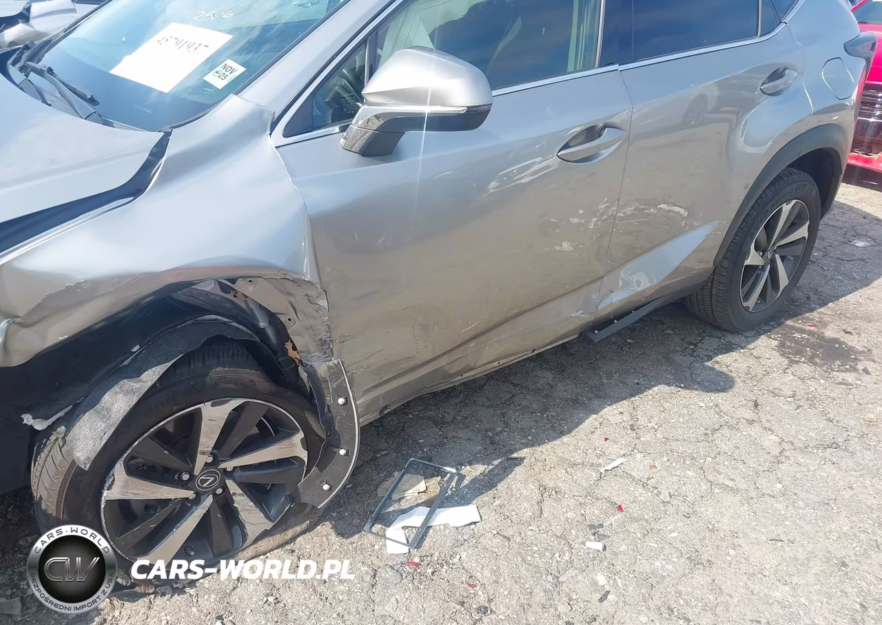 2021 Lexus Nx 300 VIN:JTJGARBZ7M2189488 - 18